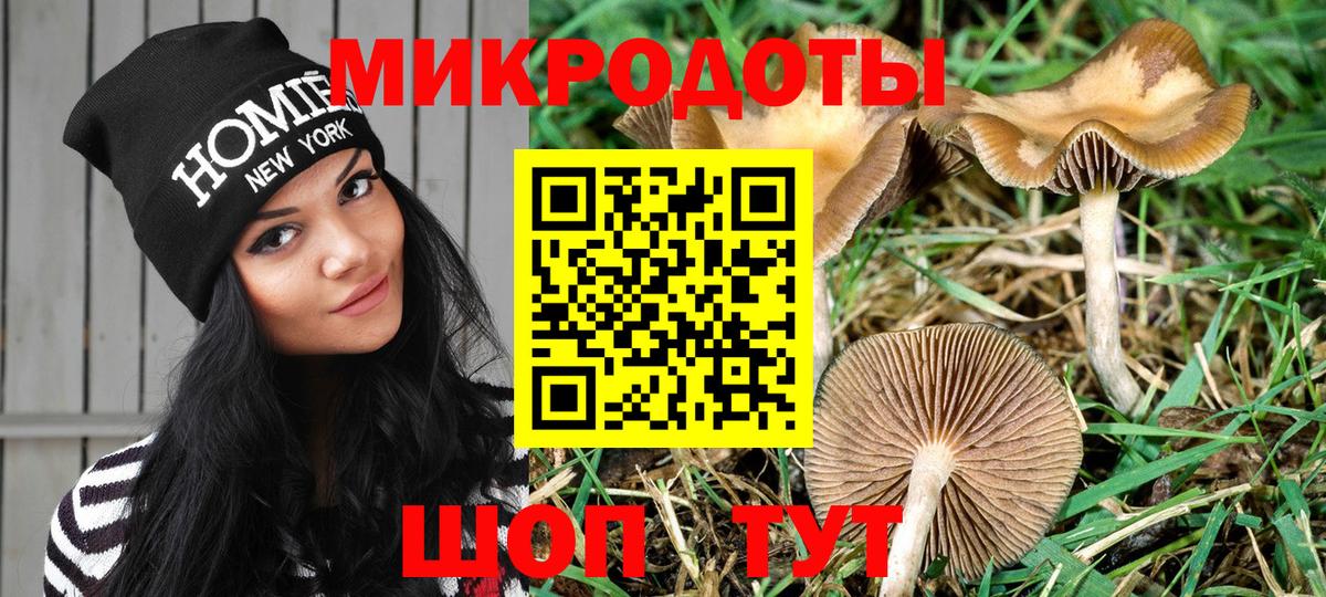 Кировск  Галлюциногенные грибы MAGIC MUSHROOMS  Вход с VPN 