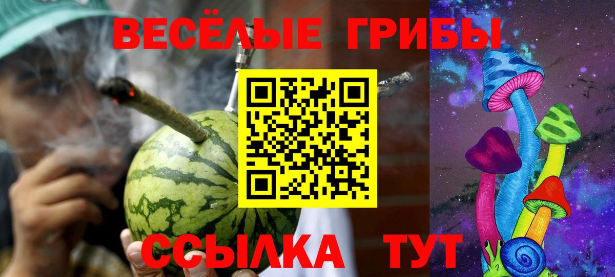 Псилоцибиновые грибы мицелий Кировск